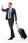 Portrait Of A Businessman With Suitcase Stock Photo