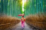 Bamboo Forest. Asian Woman Wearing Japanese Traditional Kimono At Bamboo Forest In Kyoto, Japan Stock Photo