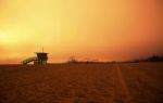 Venice Beach Stock Photo