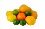 Citrus Fruits Stock Photo