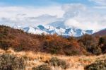 Autumn In Patagonia. Tierra Del Fuego,  Argentine Side Stock Photo