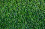 Artificial Green Grass Stock Photo