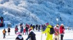 Tourists Taking Photos Of The Beautiful Scenery And Skiing Around Deogyusan,south Korea Stock Photo