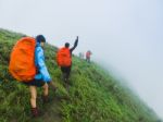 Happy People  With Arms Raised Up And  Enjoying  Beautiful Tropical Rainforest At And Beautiful Mountain Background  With  Nature Landscape Stock Photo