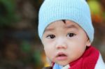 Asian Baby Stock Photo