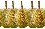 Durian On White Background Stock Photo