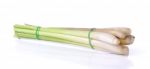 Lemongrass Isoleted On White Background Stock Photo