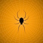 Halloween Spider Hanging Web Background Stock Photo