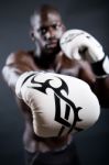 Young Athletic Boxer Wearing Gloves In Black Background Stock Photo