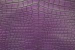 Crocodile Skin Texture Stock Photo