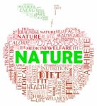 Nature Apple Indicates Environment Green And Fruits Stock Photo