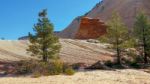 Strange Rock Formation And Checkerboard Mesa In Zion Stock Photo