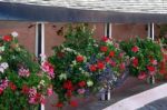 A Row Of Hanging Baskets Stock Photo