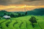 Rice Field On The Mountain Stock Photo