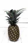 Fresh Azores Pineapple Fruit Isolated On A White Wooden Background Stock Photo