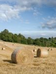 Uk Harvest Stock Photo