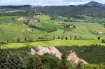 Val D'orcia, Tuscany/italy - May 17 : Farmland In Val D'orcia Tu Stock Photo