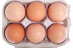 Eggs In Carton Stock Photo