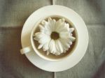 Coffee Cup On Table With White Daisy Vintage Style Stock Photo