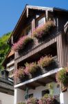 Colourful Pink Geraniums On A House In Hallstatt Stock Photo