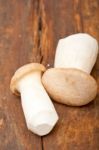 Fresh Wild Mushrooms Stock Photo