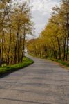 Fall Colors In Nature Stock Photo