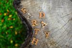 Wooden Earth Day Word On Wood Log Background. Help Protect Our Trees Idea Stock Photo