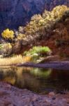 Sunshine Illuminating The Banks Of The Virgin River Stock Photo