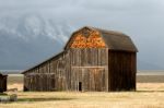 View Of Mormon Row Near Jackson Wyoming Stock Photo