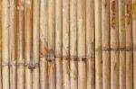 Bamboo Fence Stock Photo