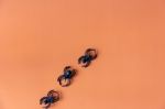 Black Spiders On The Orange Background Stock Photo