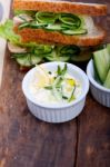 Fresh Vegetarian Sandwich With Garlic Cheese Dip Salad Stock Photo