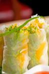 Vietnamese Style Summer Rolls Stock Photo