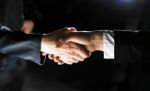 Handshaking business people Stock Photo