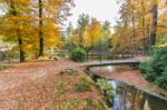 Forest Pond With Bridge In Autumn Colors Stock Photo