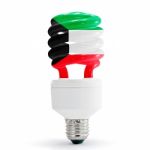 Flag Of The Kuwait On Bulb Stock Photo