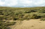 Natural Ria Formosa Marshlands Stock Photo