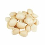 Macadamia Isolated On White Background Stock Photo