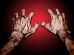 Sear Hands Stock Photo