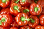 Fresh Red Bell Pepper Stock Photo