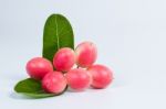 The Bengal-currants On White Background Stock Photo