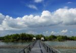 Wooden Bridge For The Walk To The Bangkok Sea, Thailand Stock Photo