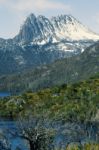 Cradle Mountain In Tasmania Stock Photo