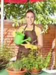 The Cultivation Of Plants In Pots Stock Photo