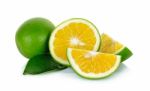 Citrus Sinensis Isolated On The White Background Stock Photo