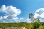 Trees And Mountains On A Bright Sky Stock Photo