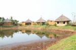 Rental Hut On Water Front For Vacation Near Pond Stock Photo