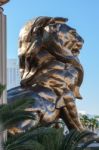 Mgm Lion Stock Photo