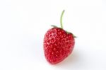 Fresh Strawberry Stock Photo