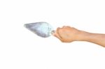 Trowel In Hand Stock Photo